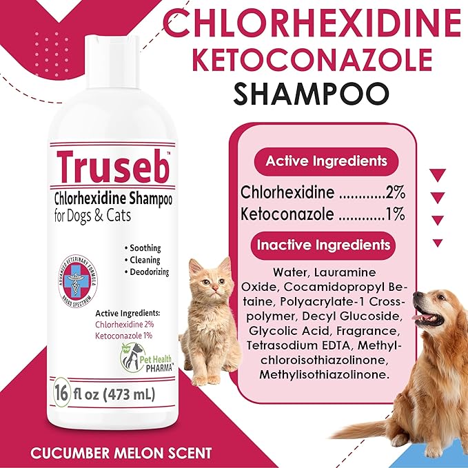 Truseb Topical Ketoconazole and Chlorhexidine Shampoo for Dogs, Cats &amp; Horses with Aloe Vera and Conditioner(USA) (Ketoconazole &amp; Chlorhexidine Shampoo, 16 oz)