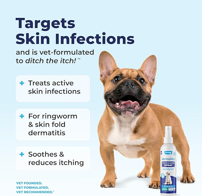 Vetnique Dermabliss Medicated Chlorhexidine Antiseptic Skin Spray for Dogs &amp; Cats, Supports Skin Infections and Irritations 8oz