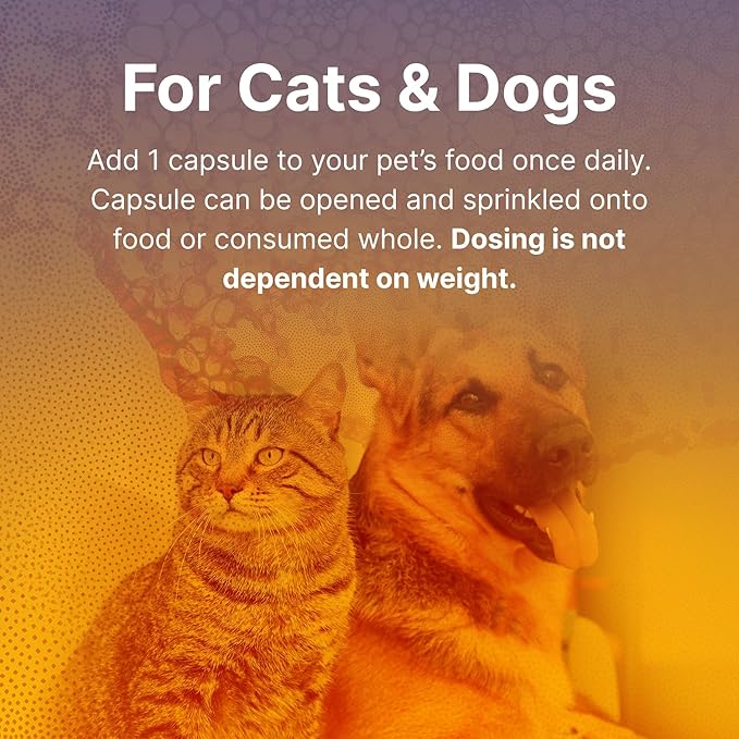 Microbiome Labs Fidospore - Dog Probiotics for Digestive Health &amp; Immune Support - Spore-Forming Pet Probiotics for Dogs &amp; Cats Gut Health - Flavored with Grass Fed Beef Liver (30 Capsules)