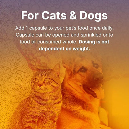 Microbiome Labs Fidospore - Dog Probiotics for Digestive Health &amp; Immune Support - Spore-Forming Pet Probiotics for Dogs &amp; Cats Gut Health - Flavored with Grass Fed Beef Liver (30 Capsules)