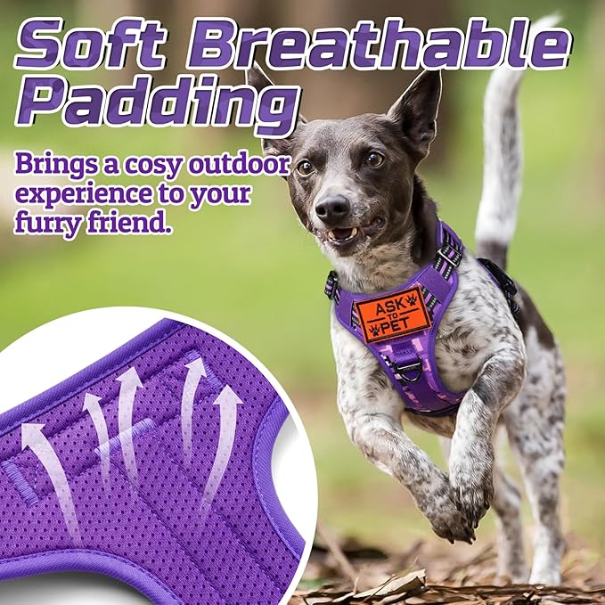 rabbitgoo Tactical Dog Harness for Large Dogs, No Pull Military Service Vest with Handle &amp; Molle, Easy Control for Training Walking, Adjustable Reflective Straps, Purple Camo, L