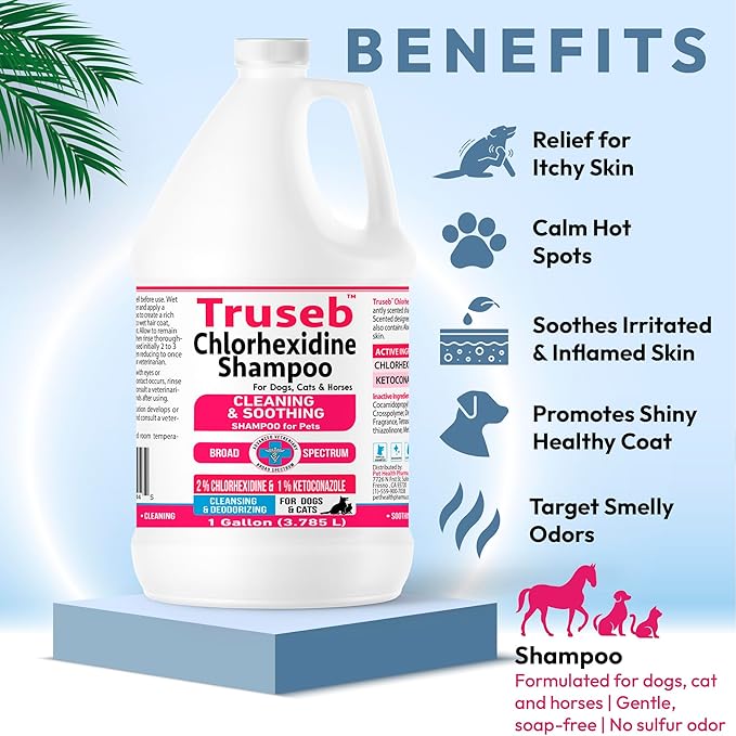 Truseb Topical Ketoconazole and Chlorhexidine Shampoo for Dogs, Cats &amp; Horses Pleasantly Scented with a Cucumber Melon Scent with Aloe (Ketoconazole &amp; Chlorhexidine Shampoo, 1 Gallon)
