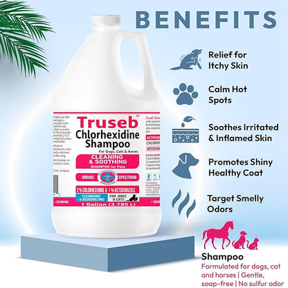 Truseb Topical Ketoconazole and Chlorhexidine Shampoo for Dogs, Cats &amp; Horses Pleasantly Scented with a Cucumber Melon Scent with Aloe (Ketoconazole &amp; Chlorhexidine Shampoo, 1 Gallon)