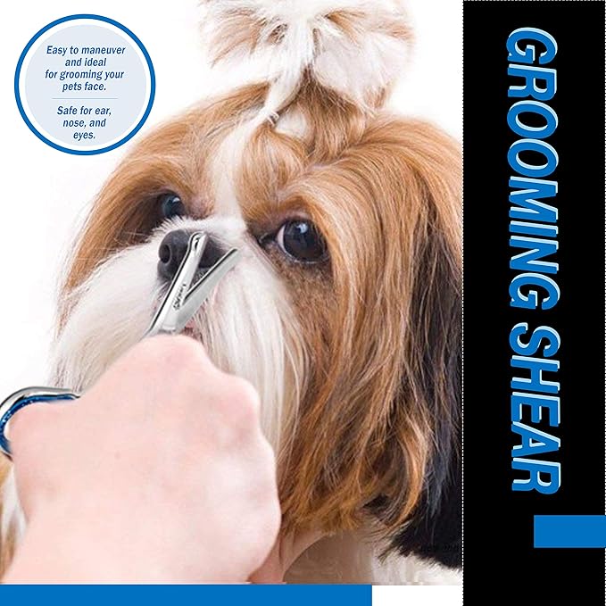 Laazar Straight Dog Grooming Scissors - Comfortable Around The Eyes Cat &amp; Dog Scissors | Blunt Dog Trimming Scissors| Premium Stainless Steel | Grooming Scissors For Dogs - Dog Hair Scissors