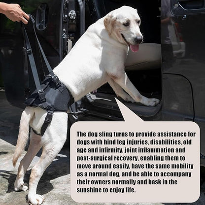Dog Lift Harness for Dogs with Disabled Arthritis and Weak Back Legs, humanized Design with Comfortable Materials, Adjustable Back Legs and Straps, Suitable for Helping Dogs to Recover and Walk. (M)