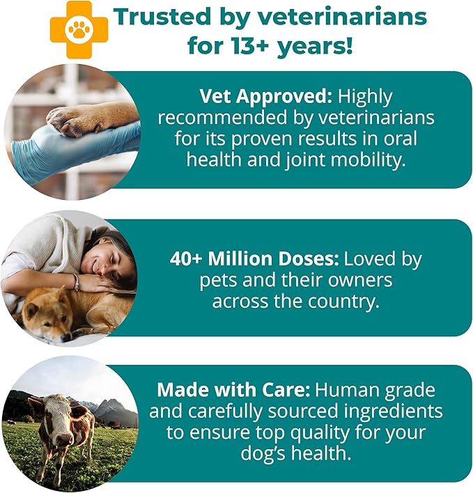 1TDC WorksSoWell Dual Action Joint Supplement for Dogs &amp; Cats - Hip and Joint Supplement for Large Breed &amp; Small Breed - Also Great for Oral Health - Muscle &amp; Stamina Recovery &amp; Arthritis - 120ct