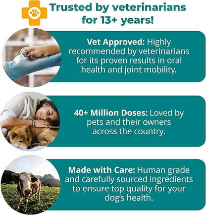 1TDC WorksSoWell Dual Action Joint Supplement for Dogs &amp; Cats - Hip and Joint Supplement for Large Breed &amp; Small Breed - Also Great for Oral Health - Muscle &amp; Stamina Recovery &amp; Arthritis - 120ct