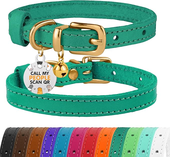 BRONZEDOG Leather Cat Collar with Removable Bells Non Breakaway Kitten QR Tag for Girl Boy (7" - 9" for Cats, Green &amp; Gold)