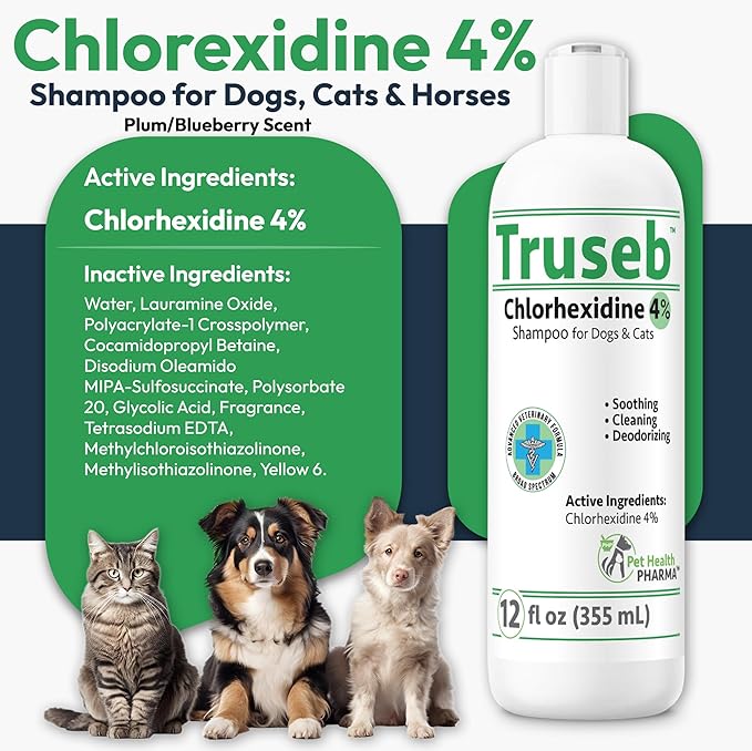 Truseb Topical Chlorhexidine 4% Shampoo for Dogs, Cats &amp; Horses (12 oz)- with Aloe for Cleansing (Chlorhexidine 4% Shampoo, 12 oz)