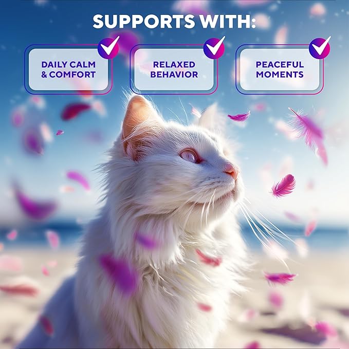 Calming Pheromone Spray &amp; Scratch Repellent for Cats - Reduces Scratching Furniture, Pee - During Travel, Fireworks, Thunder, Vet Zone - Helps with Stress, Fighting, Hiding (100 ml (2 pack))