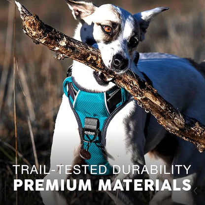 Embark Adventure Dog Harness, Easy On and Off with Front and Back Leash Attachment Points &amp; Control Handle - No Pull Training, Size Adjustable and No Choke (Small - Teal Blue)