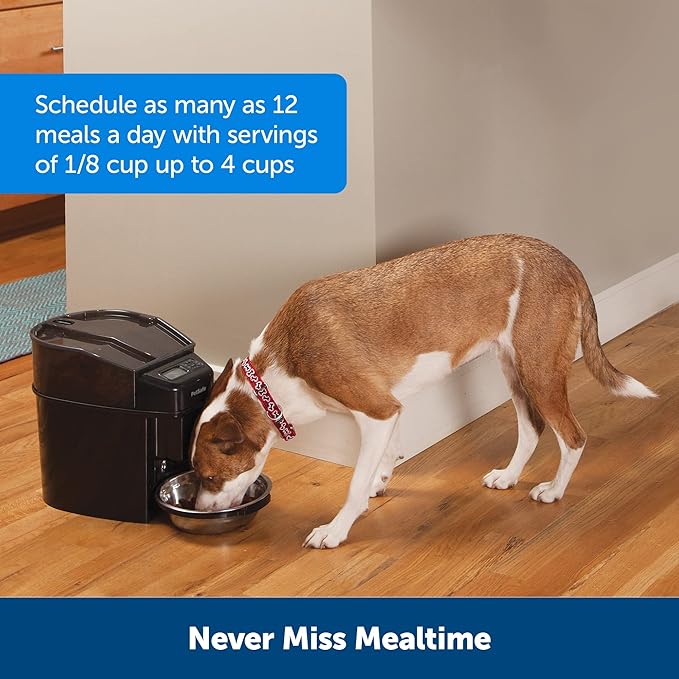 PetSafe Automatic Cat Feeder - Healthy Pet Simply Feed - Automatic Pet Feeder for Cats &amp; Dogs - Timed Pet Feeder with Programmable Portion Control - Holds 24 Cups of Dry or Semi-Moist Dog or Cat Food