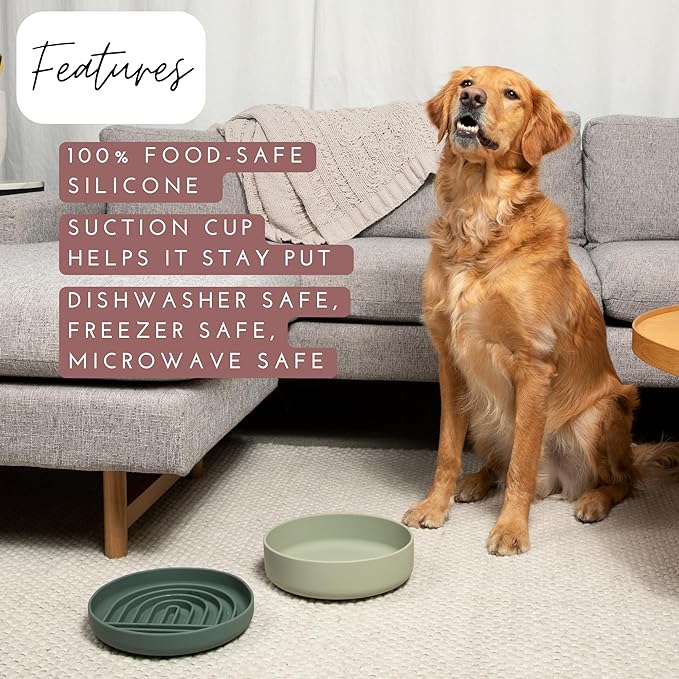 The Slowdown Bowl Silicone Slow Feeder for Dogs &amp; Puppies, Slow Eating, Modern Lick Mat Design, Reduces Gulping, Fits 2.5 Cups 9.5” Across x 1.5” Tall, Mealtime Challenge, Large-Spruce