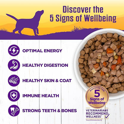 Wellness Complete Health Thick &amp; Chunky Natural Grain Free Canned Wet Dog Food, Beef Stew, 12.5-Ounce Can (Pack of 12)