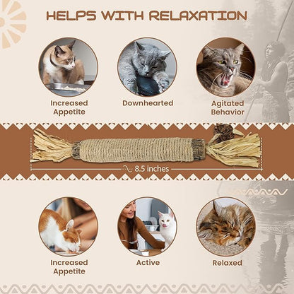 Catnip Silvervine Sticks for Cats | Silver Vine Chew Toy or Cat Chew Stick | Kitten Teething Toys | Cat Dental Chew with Cat Raffia Grass for Healthy Teeth &amp; Digestion | Silvervine Cat Toy | 2 Sticks