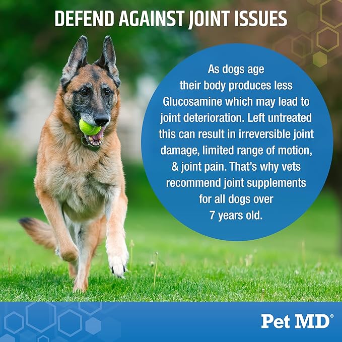 Pet MD Glucosamine for Dogs | Dog Joint Supplement with Glucosamine, Chondroitin &amp; MSM - Inflammatory Pain Relief Chews for Hip &amp; Joints - Bacon Flavored - Includes Yucca &amp; Turmeric - 120 Ct