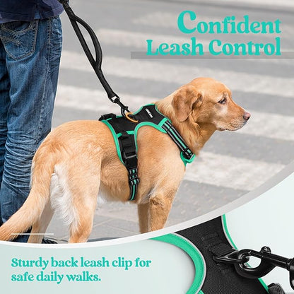 rabbitgoo Dog Harness No Pull with 2 Leash Clips, Adjustable Soft Padded, Reflective Oxford No Choke Pet Vest with Easy Control Handle for Large Dogs, Black &amp; Turquoise, L