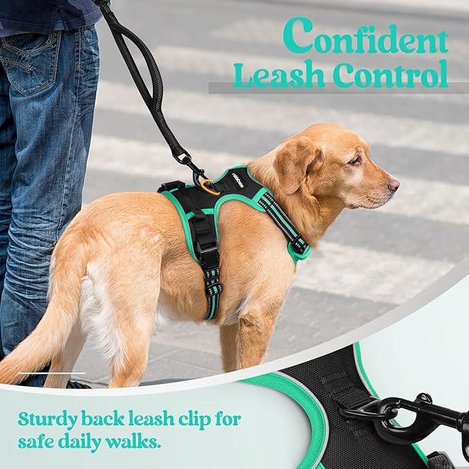 rabbitgoo Dog Harness No Pull with 2 Leash Clips, Adjustable Soft Padded, Reflective Oxford No Choke Pet Vest with Easy Control Handle for Large Dogs, Black &amp; Turquoise, XL