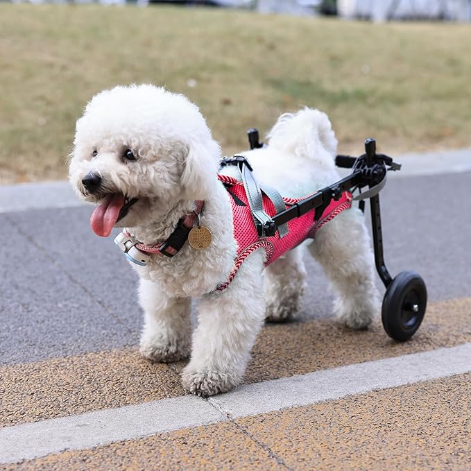 Updated Dog Wheelchair for Back Legs,Small Dog Wheelchair Carts with Wheels, Light Weight Wheelchair for Leg Support Helps Senior,Injured,Paralyzed, S &amp; Pink