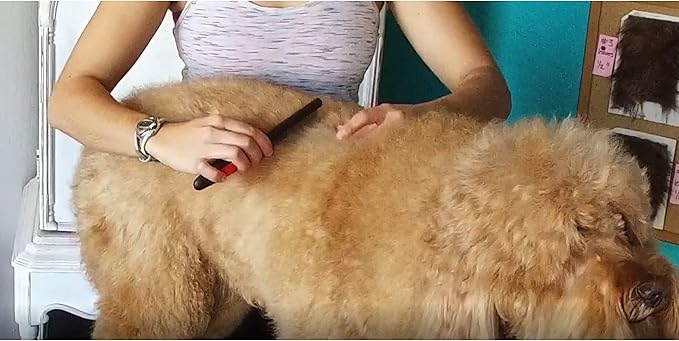 Ryan&