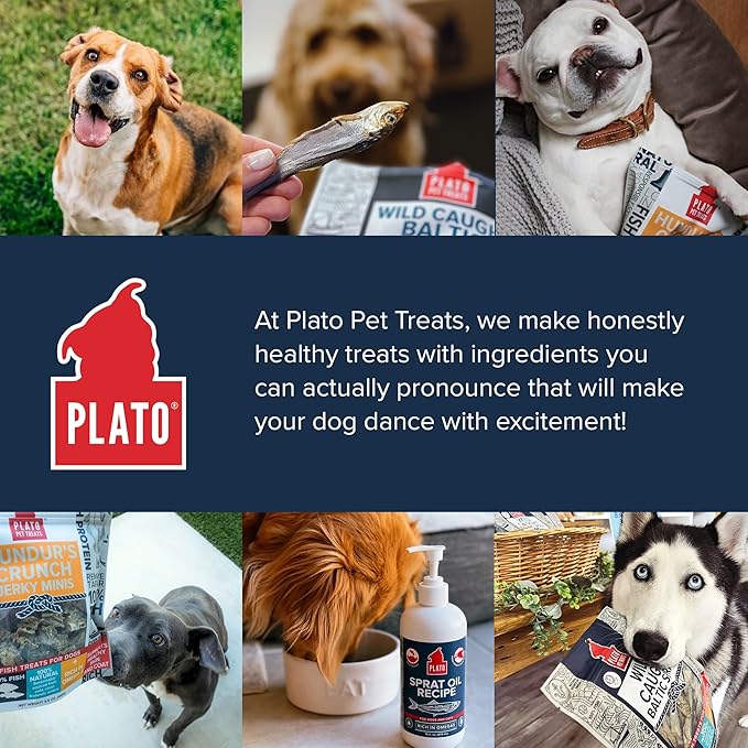 PLATO Pet Treats Fish Dog Treats - Air-Dried, Single Ingredient Dog Treat - with Omega 3 &amp; 6 Fatty Acids to Support Skin and Coat - 100% Whole Fish - Wild Caught Baltic Sprat Dog Treats - 7.5 oz