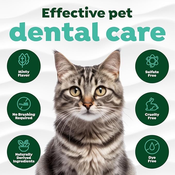 TropiClean Fresh Breath Cat Toothpaste for Teeth Cleaning, Breath Freshener, Easy to Use Plaque &amp; Tartar Remover Gel, No Toothbrush Needed, 2oz.