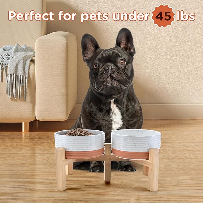 SPUNKYJUNKY Elevated Dog Bowls Ceramic, 6.1&