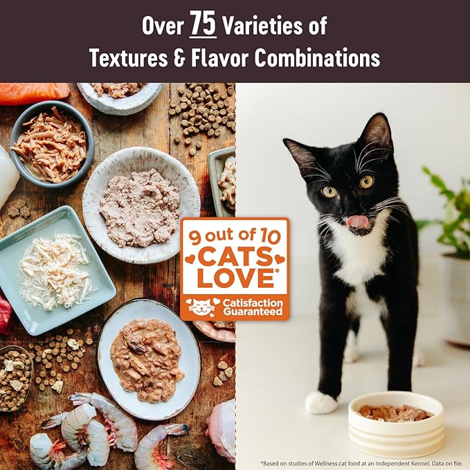 Wellness CORE Tiny Tasters Pate Adult Wet Cat Food, Natural, Protein-Rich, Grain Free, 1.75 Ounce Pouch, 12 Pack (Chicken &amp; Beef)