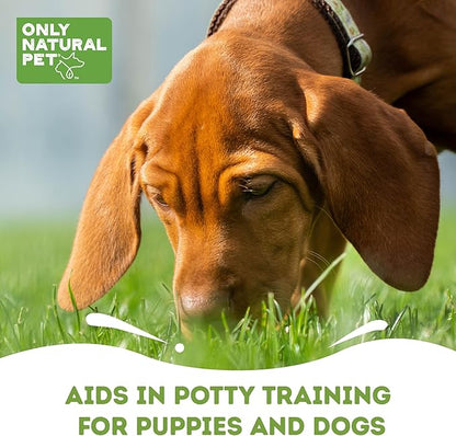 ONLY NATURAL PET No Marking Deterrent Spray for Dogs – Indoor Outdoor Urine Prevention - Stain &amp; Odor Eliminator - Potty Pet Training Aid to Deter Peeing or Marking Carpet or Furniture – 32 Fl Oz