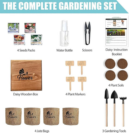 Indoor Daisy Garden Starter Kit, 4 Flower Seeds Growing into Shasta Daisy, Cornflower, Sunflower, Zinnia, Including Complete Gardening Tools, Christmas Gifts for Women Men &amp; Beginners