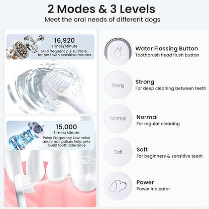 Dog Tooth Brushing Kit,3-in-1 Dog Teeth Cleaning Tools,Ultrasonic Electric Toothbrush &amp; Plaque Remover for Dogs with Water Flosser for Teeth,2 Modes &amp; 3 Intensity Levels,IPX7,1100mAh Battery