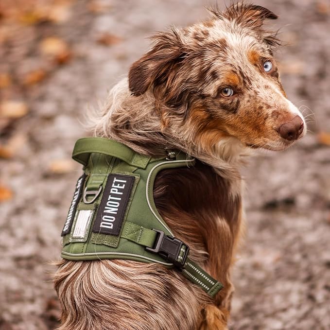 rabbitgoo Dog Harness for Large Dogs No Pull, Tactical Service Pet Vest with Molle and Control Handle, Adjustable and Reflective Military Harness for Easy Walking and Training, Green, XL