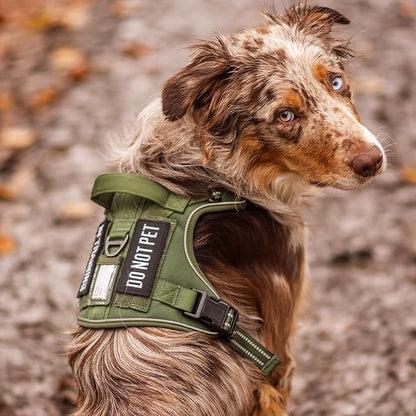 rabbitgoo Dog Harness for Large Dogs No Pull, Tactical Service Pet Vest with Molle and Control Handle, Adjustable and Reflective Military Harness for Easy Walking and Training, Orange, XL