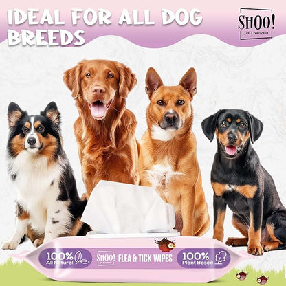 Shoo! Flea &amp; Tick Wipes for Dogs | Convenient, Easy On-The-Go Protection | Plant Based, Natural Oils, Chemical Free | Repels &amp; Prevents | 50 XL Wipes | (Floral Bliss)
