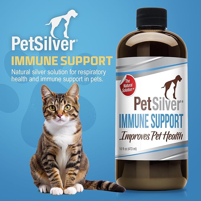 PetSilver Immune Support, Natural Nebulizer Solution, Promotes Respiratory Health in Cats &amp; Dogs, Allergies, Sinus &amp; Cough Treatment, Easy to Use, Patented Chelated Silver, Made in The USA, 16 fl oz
