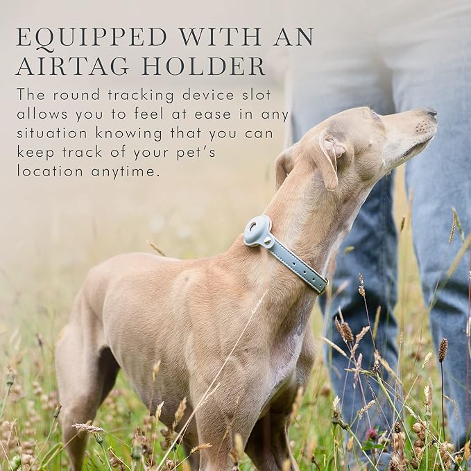 Cupertino Dog Collars, Harnesses &amp; Leashes Made from Vegan Leather with Dog Tracker Device Holder Adjustable Dog Collar (Extra Small, Blue)