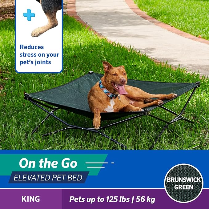 Coolaroo On-The-Go Elevated Dog Bed - Foldable Pop-Up Travel Dog Bed with Breathable, Moisture-Resistant Fabric, Carry Bag Included, Lightweight &amp; Portable, Brunswick Green, Extra Large