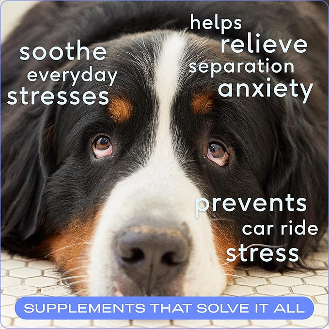 Native Pet Calming Chews for Dogs - Melatonin for Dogs Anxiety Relief - Grain Free All Natural Hemp Calming Treats &amp; L-Theanine Helps Manage Stress &amp; Separation Anxiety - Puppy Sleep Aid - 60 Chews