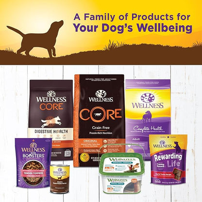 Wellness Complete Health Natural Wet Canned Dog Food, Duck &amp; Sweet Potato, 12.5-Ounce Can (Pack of 12)