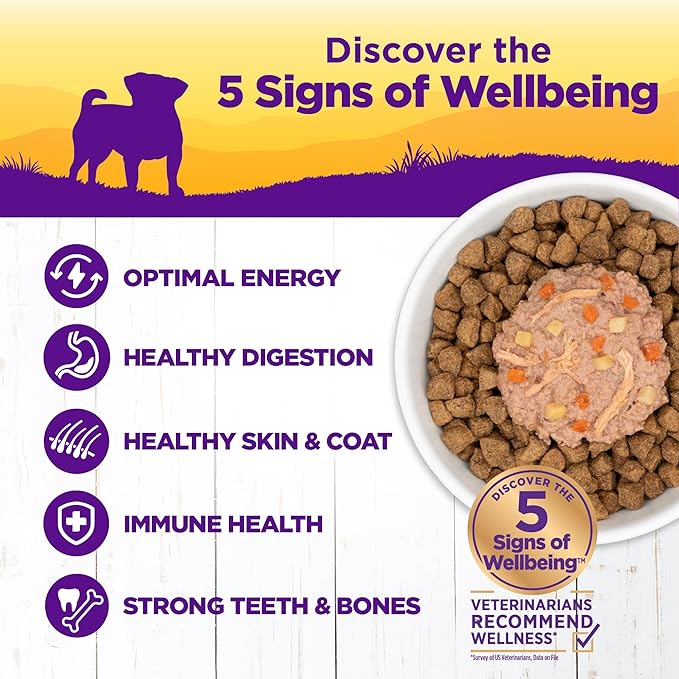 Wellness Petite Entrées Shredded Medley with Braised Lamb, Venison, White Sweet Potatoes &amp; Carrots, 3-Ounce Cup (Pack of 12)