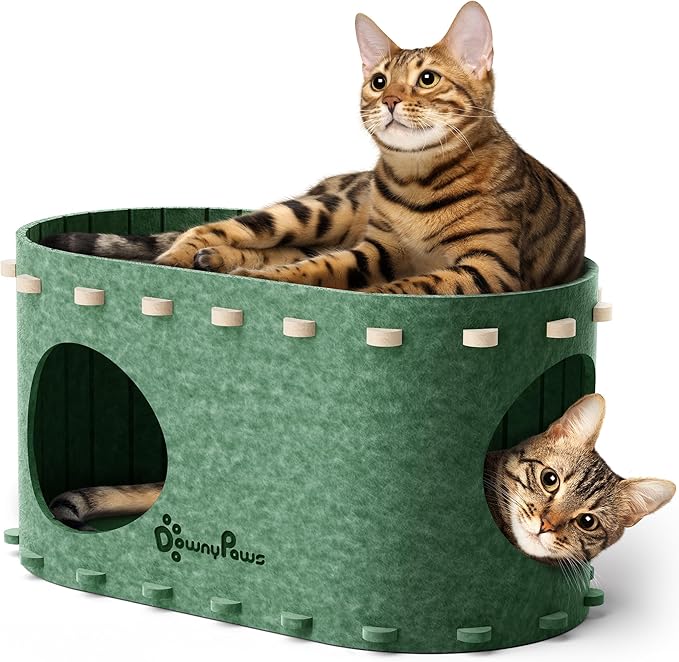 DownyPaws Cat House for Indoor Cats, Cat Bed Cave for Multiple &amp; Large Cats Up to 22 Lbs, Scratch Resistant Peekaboo Cat Caves, Foldable Tunnel Enclosed Bed, PeekaPurr, Forest