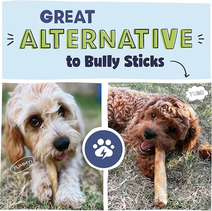 Pawstruck Natural 5-7" Beef Collagen Sticks for Dogs – Long-Lasting Rawhide Alternative, High Protein &amp; Low Fat with Chondroitin &amp; Glucosamine – 5 Pack