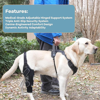 Dog Knee Brace with Adjustable Support – ACL &amp; CCL Tear Recovery, Post-Surgery Stabilization, Mobility Aid for Rear Legs – Includes Secure Chest Harness for Dogs(Left,L)