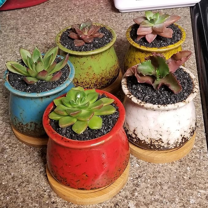 TOYPOPOR 6lb Succulents and Cactus Black Sand, Décor &amp; Additive Tiny Stones, DIY Rocks Gravel, Decorative Pebbles for Bonsai, Fairy Gardening, Terrarium, Vases Fillers, Top Dressing