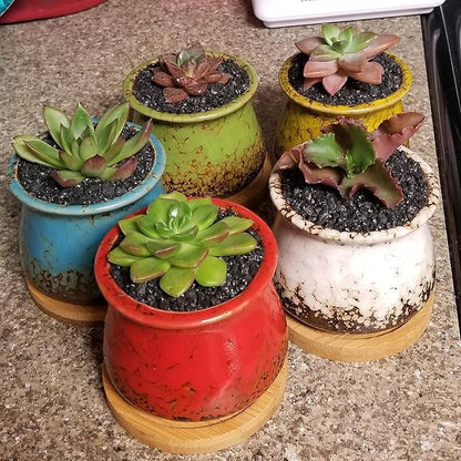 TOYPOPOR 6lb Succulents and Cactus Black Sand, Décor &amp; Additive Tiny Stones, DIY Rocks Gravel, Decorative Pebbles for Bonsai, Fairy Gardening, Terrarium, Vases Fillers, Top Dressing