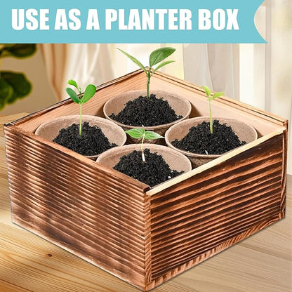 Indoor Daisy Garden Starter Kit, 4 Flower Seeds Growing into Shasta Daisy, Cornflower, Sunflower, Zinnia, Including Complete Gardening Tools, Christmas Gifts for Women Men &amp; Beginners