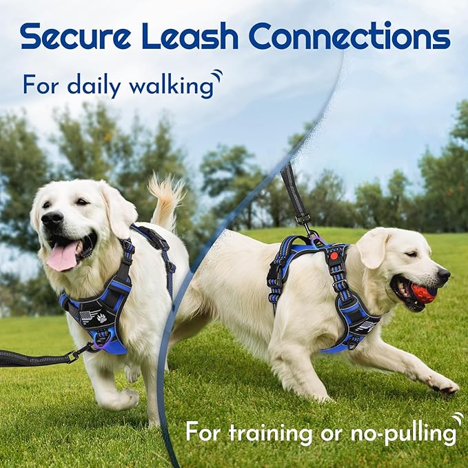 Eagloo Dog Harness for Large Dogs, Easy Wearing with 3 Buckles, Adjustable No Pull Pet Harness with 2 Rings for Walking, No Chock Reflective Soft Padded Vest with Control Handle, Blue &amp; Black, L