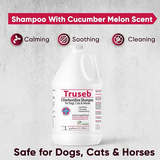 Truseb All Natural Topical Ketoconazole and Chlorhexidine Shampoo for Dogs, Cats &amp; Horses with Aloe Vera Shampoo and Conditioner(Ketoconazole &amp; Chlorhexidine Shampoo, 1 Gallon)