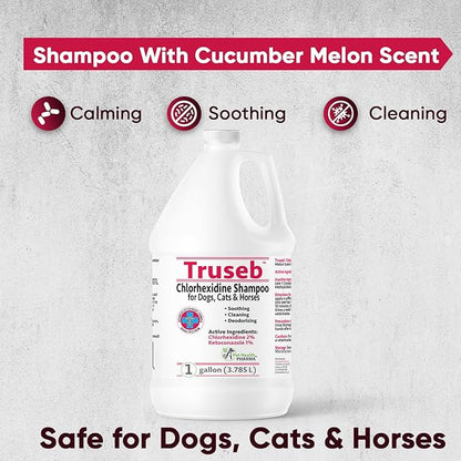 Truseb All Natural Topical Ketoconazole and Chlorhexidine Shampoo for Dogs, Cats &amp; Horses with Aloe Vera Shampoo and Conditioner(Ketoconazole &amp; Chlorhexidine Shampoo, 1 Gallon)