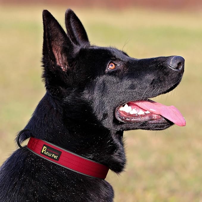 Plutus Pet Tactical Dog Collar, Reflective, Adjustable Heavy Duty Dog Collar, Soft Padded and Comfortable, for Small Medium and Large Dogs (Red, XS)